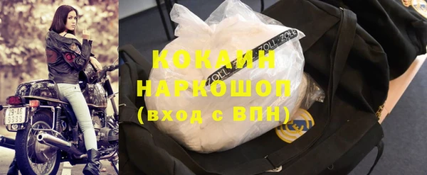 стаф Зерноград