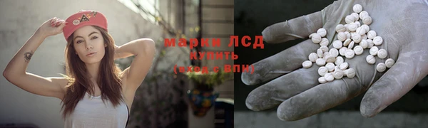 стаф Зерноград