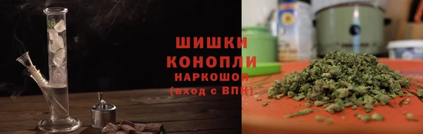 стаф Зерноград