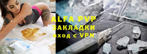 стаф Зерноград