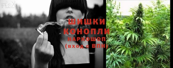 стаф Зерноград