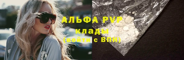 стаф Зерноград