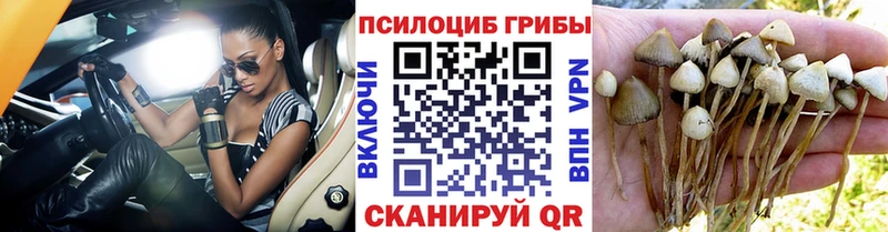 Галлюциногенные грибы прущие грибы  купить  сайты  Кирсанов 